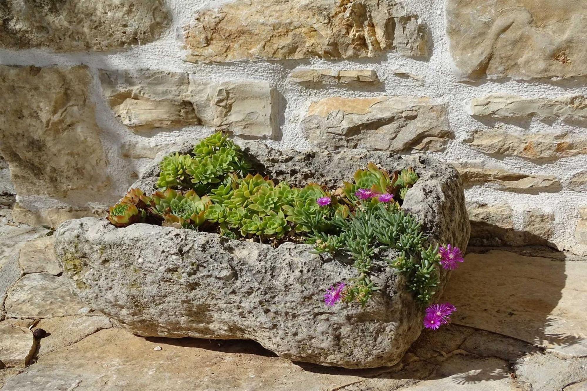 Dalmatian Country House Irena Bruska ภายนอก รูปภาพ