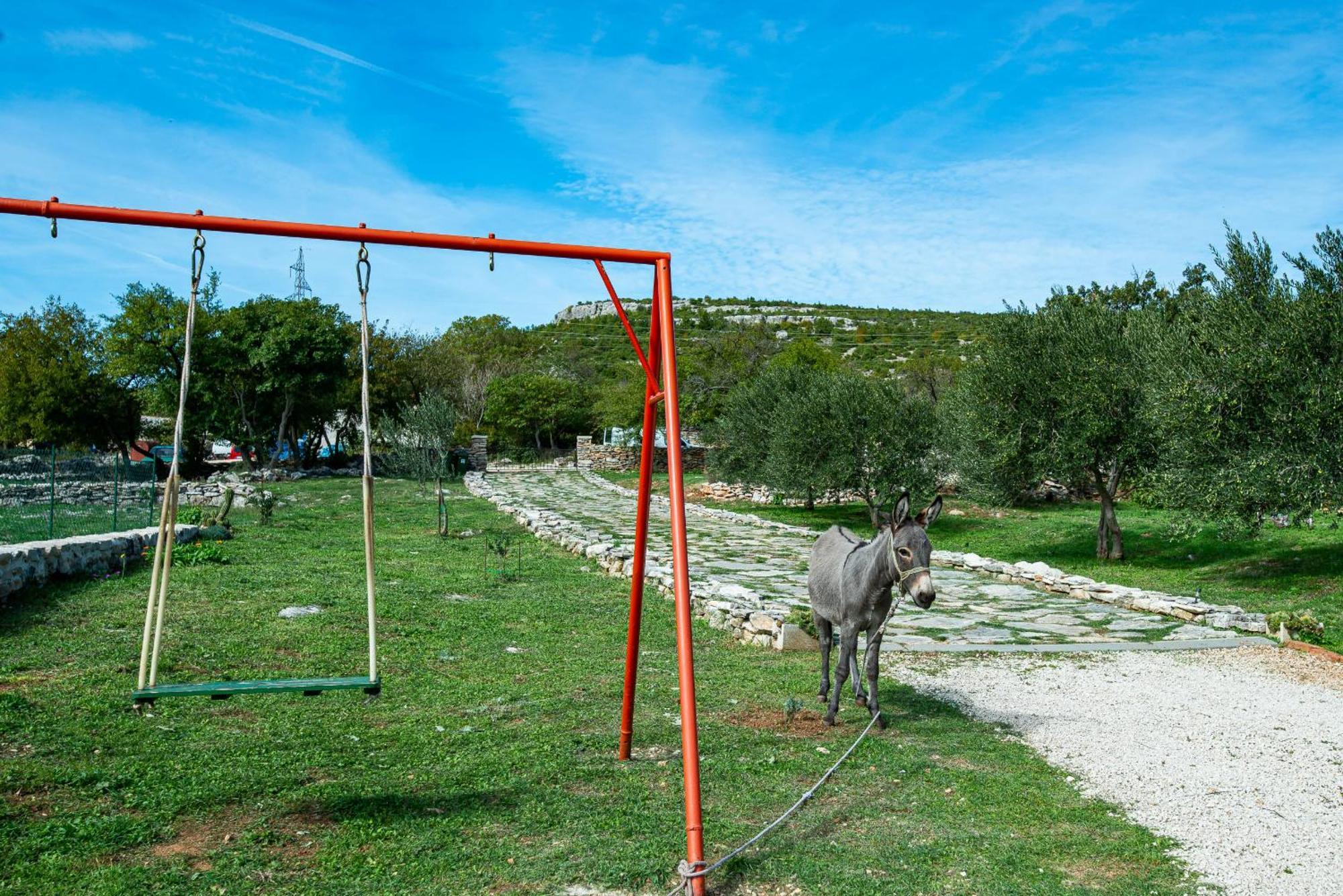 Dalmatian Country House Irena Bruska ภายนอก รูปภาพ
