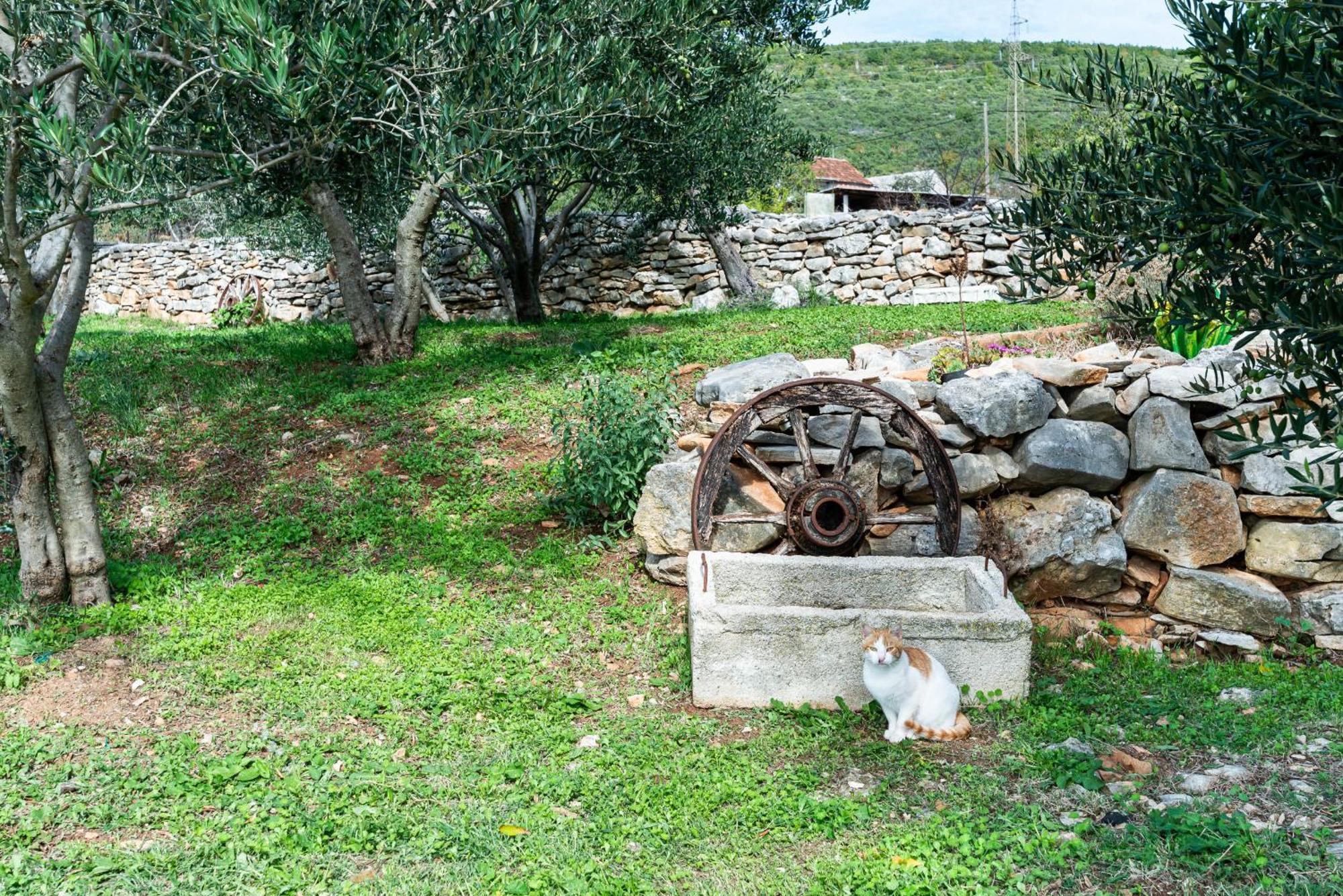 Dalmatian Country House Irena Bruska ภายนอก รูปภาพ